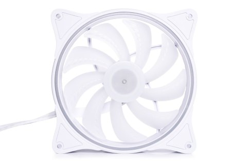 Alphacool Alphacool 24851 system chłodzenia komputerów Obudowa komputera Wentylator 14 cm Biały 1 szt.