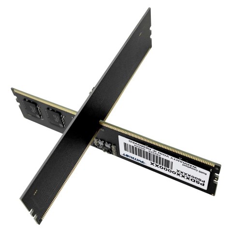 Patriot Memory Patriot Signature DDR5 16GB 5600MHz