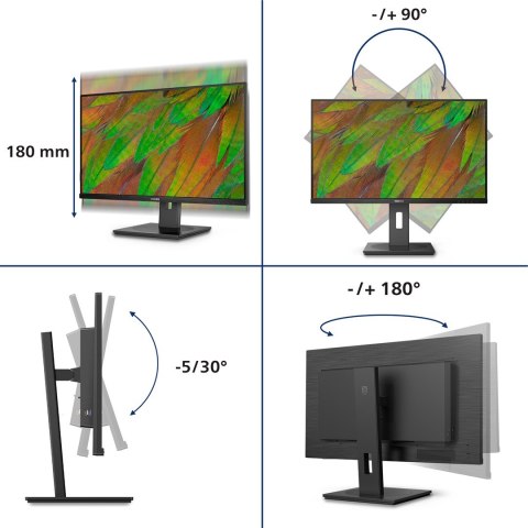 Philips Philips 3000 series 32B1N3800/00 monitor komputerowy 81,3 cm (32") 3840 x 2160 px 4K Ultra HD LCD Czarny