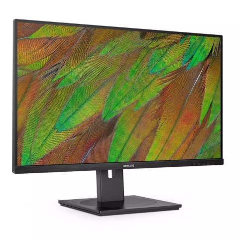 Philips Philips 3000 series 32B1N3800/00 monitor komputerowy 81,3 cm (32") 3840 x 2160 px 4K Ultra HD LCD Czarny