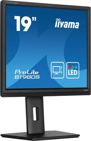 IIYAMA Monitor iiyama B1980S-B1 19 cali panel TN 1280x1024 250cd/m2 HDMI DP