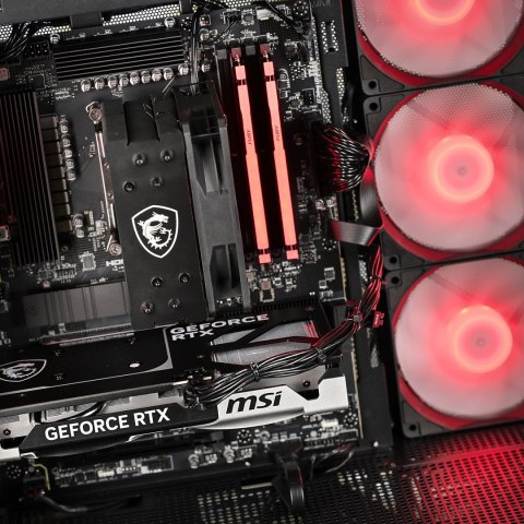 Actina Actina PBM 5600/16GB/500GB/RTX5060/650W/W11H