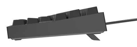 GENESIS GENESIS Thor 404 TKL klawiatura Gaming USB QWERTY Amerykański międzynarodowy Czarny