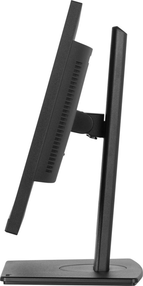 IIYAMA Monitor USB-C, LAN, DP-Out (dock), 300cd
