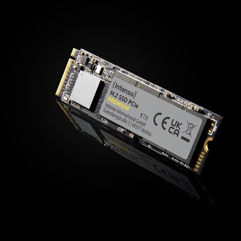 INTENSO SSD M.2 1TB Intenso Premium NVMe PCIe 3.0 x 4