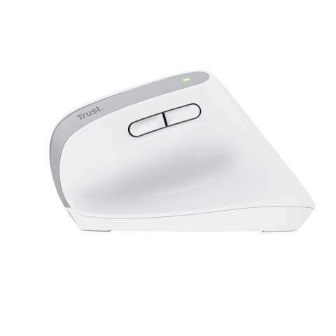 Trust Mysz bezprzewodowa ergonomiczna BAYO+ biała