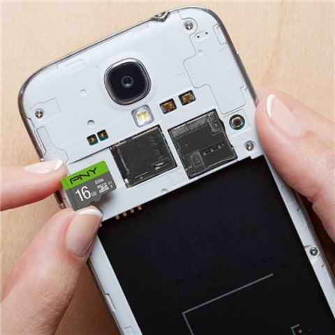 PNY Technologies Karta pamięci PNY Elite microSDHC 16GB