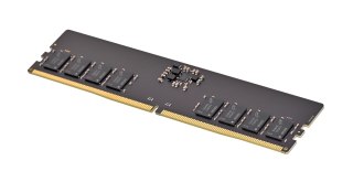 PNY Technologies PNY Performance DDR5 5600MHz 16G moduł pamięci 16 GB 1 x 16 GB 288-pin DIMM