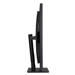 ASUS MONITOR ASUS 32" PA328QV ProArt