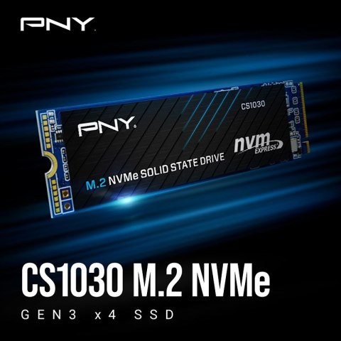 PNY Technologies Dysk SSD PNY CS1030 2TB M.2 2280 PCI-E x4 Gen3 NVMe