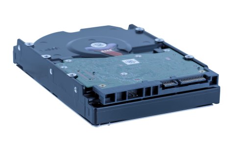 WD Dysk HDD WD Red Plus WD80EFPX (8 TB ; 3.5"; 256 MB; 5640 obr/min)