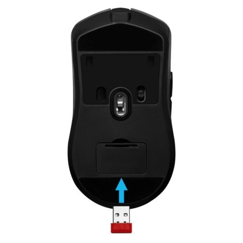 Defender DEFENDER MYSZ BEZPRZEWODOWA DEMON GM-534 RF 3200DPI 6P 52534