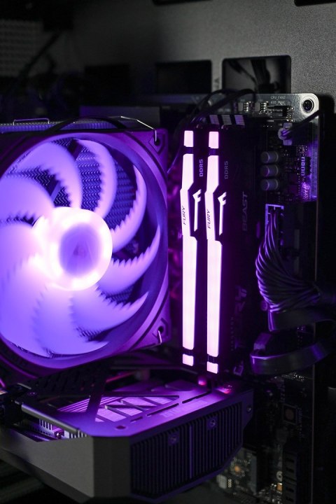 Actina Actina ENDORFY 245KF/16GB/1TB/RTX5060/600W/W11H