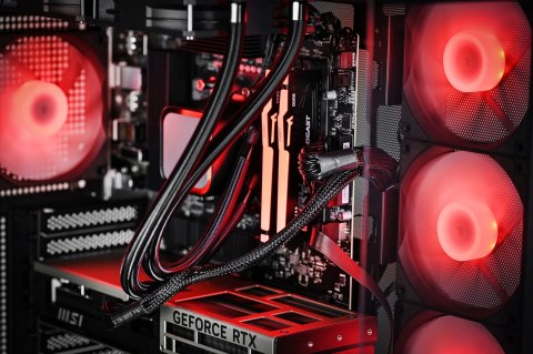 Actina Actina PBM 9950X3D/32GB/1TB/RTX5080/850W/W11H