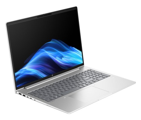 Hewlett-Packard HP ProBook 4 G1a Ryzen 7 250 16.0"WUXGA IPS 300nits AG 24GB DDR5 5600 SSD512 Radeon 780M Cam1080p 56Wh W11Pro Pike silver 3Y OnS