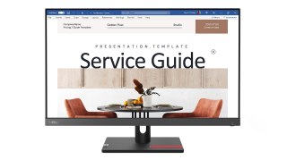 Lenovo Lenovo ThinkVision S24i­30 23.8"FHD IPS 100Hz 250 nits AG VGA HDMI Raven Black