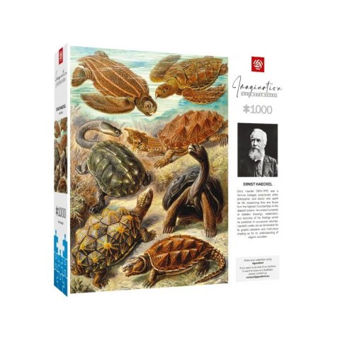 Cenega Publishing Puzzle Good Loot Imagination: Ernst Haeckel Chelonia - Żółwie morskie, 1000 elementów