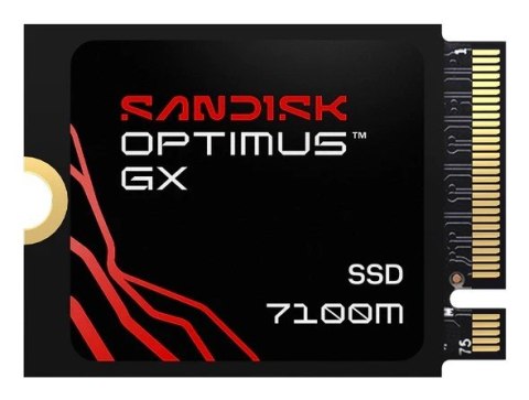 SanDisk SSD Sandisk Optimus GX 7100M 1TB SDSP71100TAT