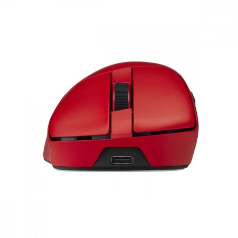 Asus Mysz bezprzewodowa ROG Gladius IV ACE P729 czerwona