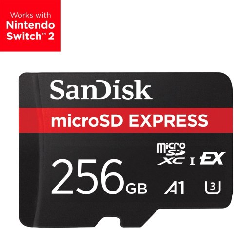 SanDisk SANDISK Express MicroSD SDSQXFN-256G-GN4NN