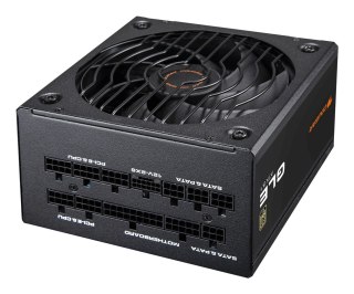 COUGAR COUGAR CGR GLE-1000 moduł zasilaczy 1000 W 20+4 pin ATX ATX Czarny