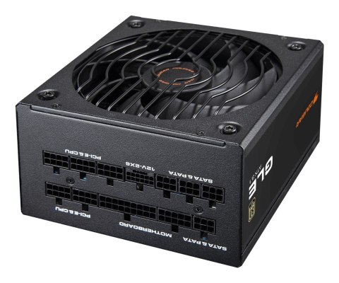 COUGAR COUGAR CGR GLE-1000 moduł zasilaczy 1000 W 20+4 pin ATX ATX Czarny