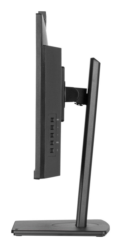 IIYAMA Monitor Iiyama TFT XUB2490HSUH IPS 24''//HDMI/DP/USB/Webcam/hoev - Płaski ekran - 60,5 cm