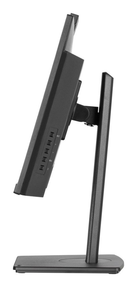 IIYAMA Monitor Iiyama TFT XUB2490HSUH IPS 24''//HDMI/DP/USB/Webcam/hoev - Płaski ekran - 60,5 cm
