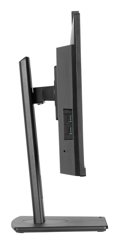 IIYAMA Monitor Iiyama TFT XUB2490HSUH IPS 24''//HDMI/DP/USB/Webcam/hoev - Płaski ekran - 60,5 cm