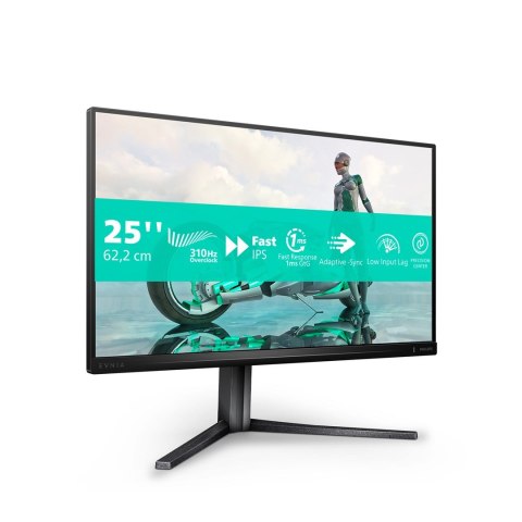 Philips Philips Evnia 3000 25M2N3200U/00 monitor komputerowy 62,2 cm (24.5") 1920 x 1080 px Full HD LCD Szary
