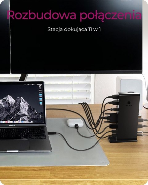 IcyBox IB-DK2241AC USB,HDMI,LAN,DVI-I,Mic