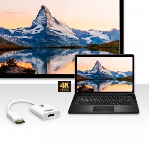 ATEN Adapter DisplayPort do HDMI 4K
