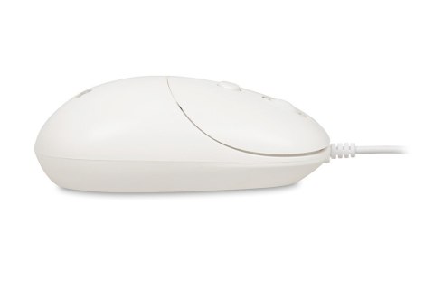 IBOX Mysz i011 Seagull