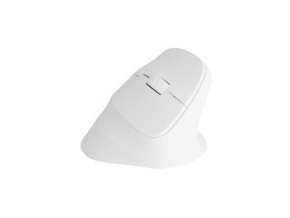 Natec Mysz bezprzewodowa wertykalna Crake 2 BT 5.2 + 2.4GHz biała