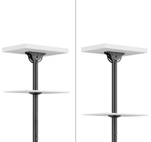 Neomounts Uchwyt do monitora/TV CL35-440BL16L 37-70 cali 50kg