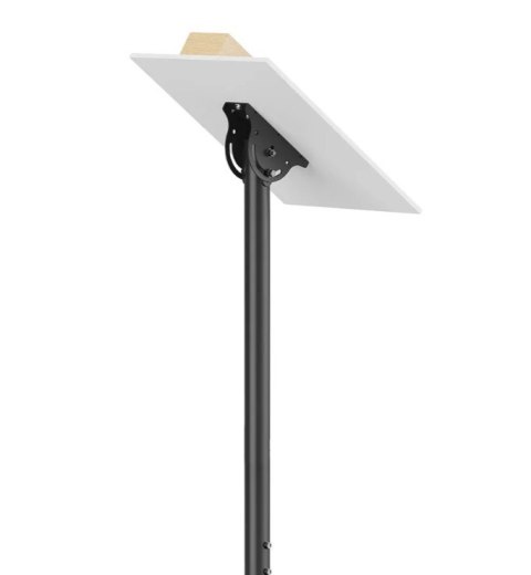 Neomounts Uchwyt do monitora/TV CL35-440BL16L 37-70 cali 50kg
