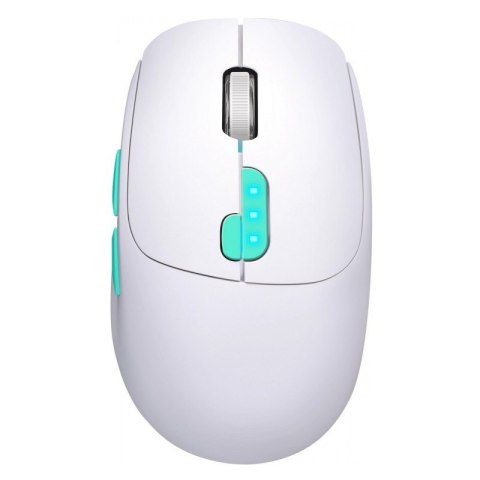 Defender Mysz bezprzewodowa NITTA MM-307 RF+BT 1600DPI 6P biała