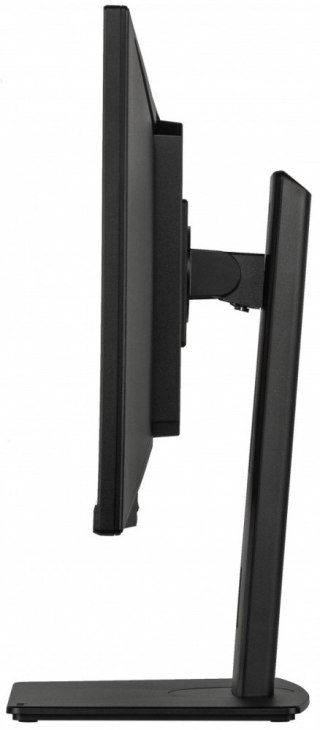IIYAMA Monitor ProLite 34 cale XUB3493WQSU-B6 IPS,UWQHD,DP,2xHDMI,HAS,21:9,400cd, 120Hz,1000:1,1ms, USB HUBx4, 2x5W,