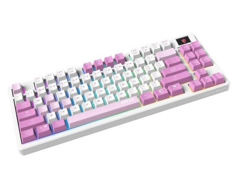 MSI Klawiatura gamingowa Forge GK600 TKL W Violet US